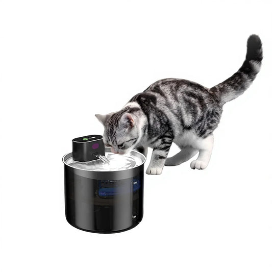 Hot-Selling Charge Pet Water Dispenser for Cats &amp; Dogs Super Silent 3.5L/5L Large Capacity Automatic with Multiple Filters